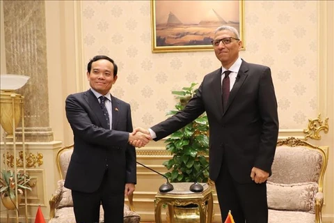 Grandes oportunidades para lazos económicos y comerciales entre Vietnam y Egipto