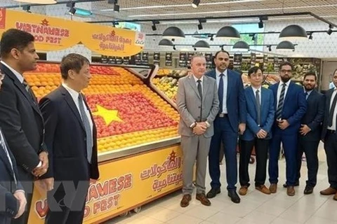 Resaltan papel de lazos económicos como pilar de relaciones Vietnam-UAE