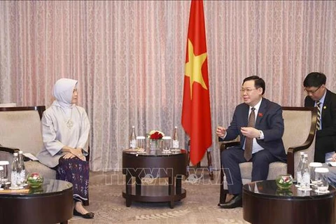 Vietnam e Indonesia impulsan cooperación en auditoría