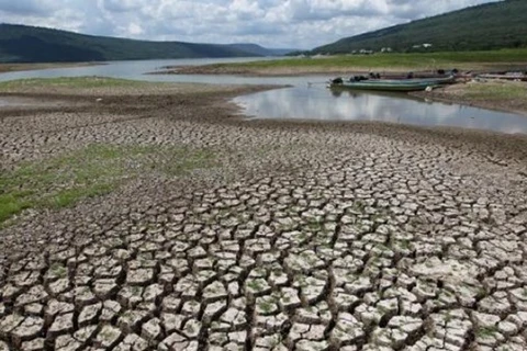 Adaptación al cambio climático en Vietnam requiere fondo multimillonario