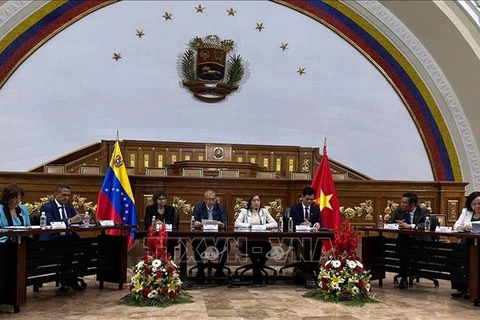 Promueven Vietnam y Venezuela cooperación en asuntos étnicos