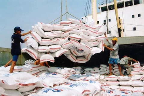 Alcanzan precios de arroz exportable de Vietnam nivel récord en 15 años 
