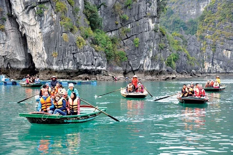 Mercado vietnamita de turismo espera auge en próximos meses