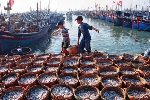Tien Giang cumple bien recomendaciones sobre prevención de pesca ilegal