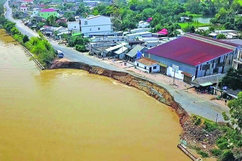 Evalúan erosiones ribereñas y costeras en provincias del delta del Mekong