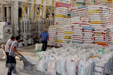 Vietnam busca garantizar equilibrio entre exportación y consumo de arroz