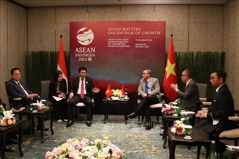 Vietnam e Indonesia promueven cooperación económica y comercial