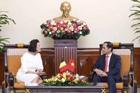 Canciller vietnamita recibe a presidenta del Senado belga