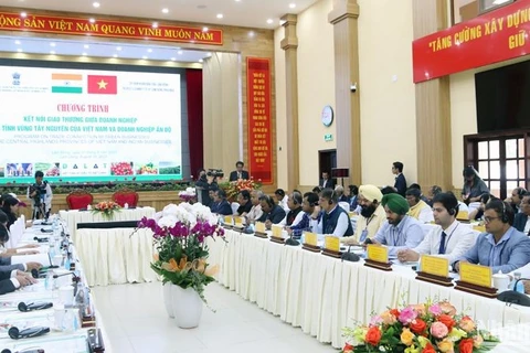 Agilizan conexión empresarial entre Altiplanicie Occidental de Vietnam y la India 