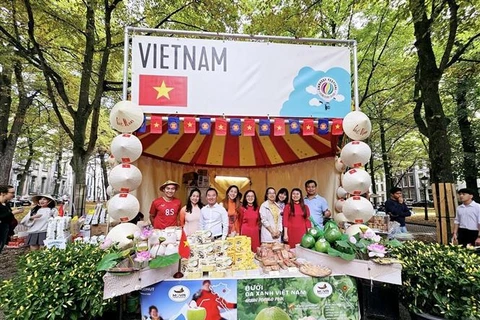 Presentan especialidades vietnamitas en Festival de Embajadas 2023 en Países Bajos