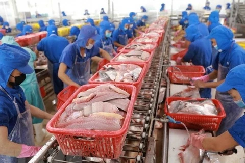 Aconsejan medidas para crecimiento de exportaciones acuícolas de Vietnam