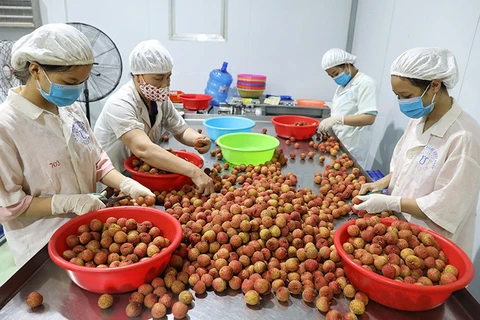 Vietnam trabaja por impulsar las exportaciones frutales