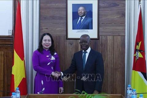 Vicepresidenta vietnamita se entrevista con premier mozambiqueño