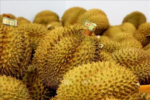 Vietnam exportará durián fresco a la India