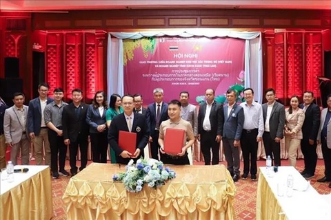 Empresas vietnamitas buscan impulsar lazos comerciales con Tailandia 