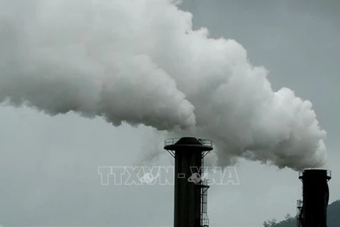 Vietnam se dirige hacia la economía de carbono bajo