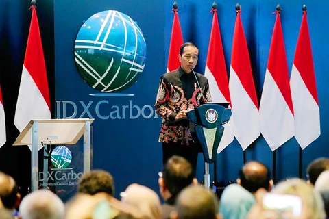 Indonesia lanza la primera bolsa de carbono