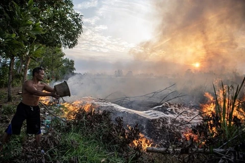 Indonesia analiza soluciones para hacer frente a El Niño
