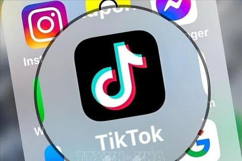 Anuncian resultados de inspección de operaciones de Tik Tok en Vietnam