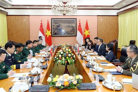 Fomenten Vietnam y Singapur cooperación en materia de defensa
