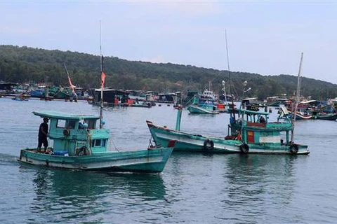 Cambio en la conciencia de pobladores de Quang Nam sobre la pesca sostenible