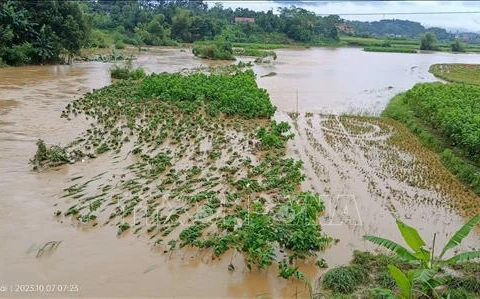 Al menos tres muertos por fuertes lluvias e inundaciones en Vietnam