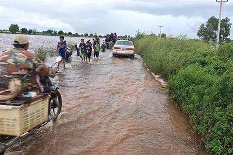 Camboya: 11 provincias afectadas por lluvias prolongadas