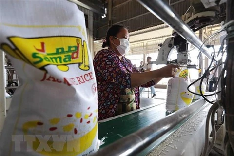 Vietnam será la principal fuente de suministro de arroz a Indonesia