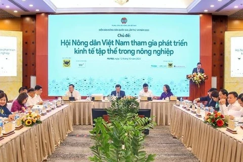 Estimulan aportes de agricultores a economía colectiva de Vietnam