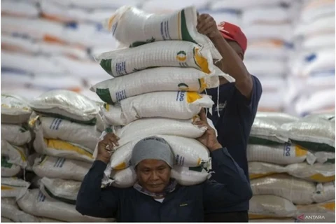 Indonesia adopta medidas para estabilizar precios de alimentos