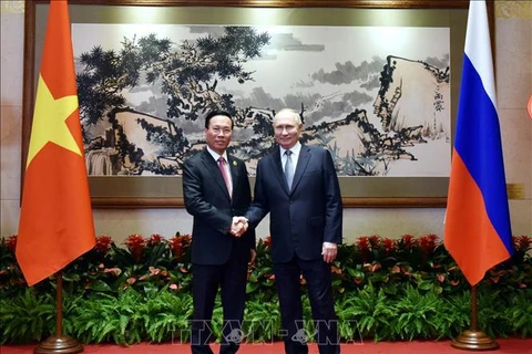 Presidente de Vietnam se reúne con su homólogo ruso