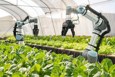 Foro analiza la aplicación de ciencia y tecnología hacia desarrollo agrícola sostenible