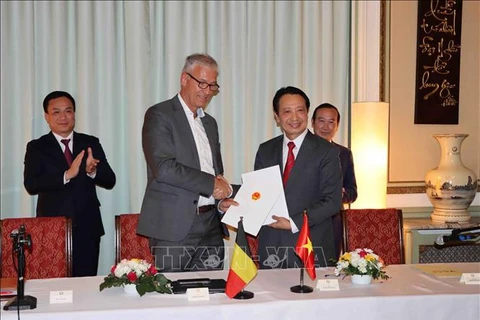 Empresas vietnamitas y belgas buscan ampliar cooperación