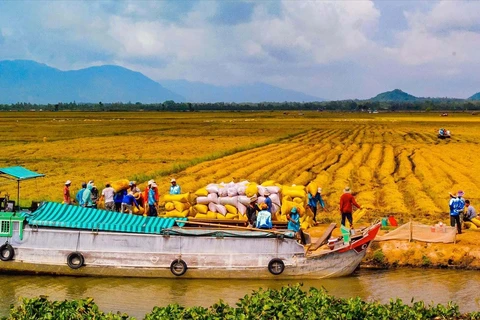 Promueven inversión en agricultura y desarrollo rural en Delta del Mekong 