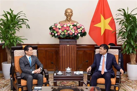 Vietnam considera a Japón un socio importante a largo plazo, afirma vicecanciller