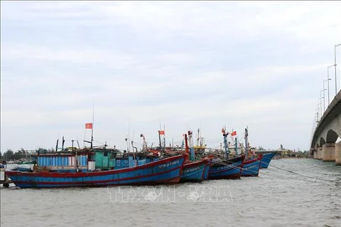 Provincia vietnamita fomenta gestión de barcos pesqueros