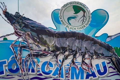 Provincia de Ca Mau acogerá primer festival del camarón