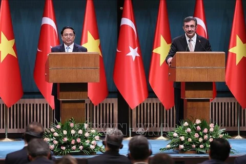Vietnam es el principal socio de Turquía y EAU en ASEAN, afirma vicecanciller