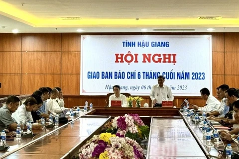 Efectuarán Festival internacional del sector de arroz Vietnam - Hau Giang