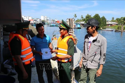 Provincias vietnamitas se enfrascan en combatir la pesca ilegal