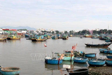 Provincia centrovietnamita se esfuerza en lucha contra pesca ilegal