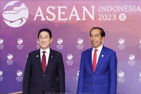Indonesia y Japón implementarán acuerdo de asociación económica modificado