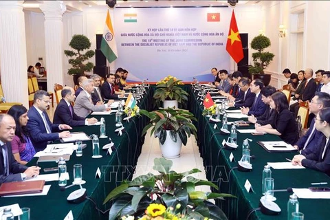 Experta india valora los logros diplomáticos de Vietnam