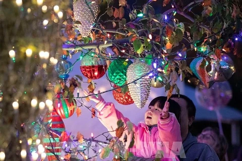 Vietnam entre mayores exportadores de productos de decoración navideña a EE.UU.