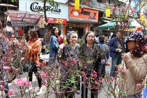 Abrirán 83 mercados de flores en Hanoi durante Año Nuevo Lunar