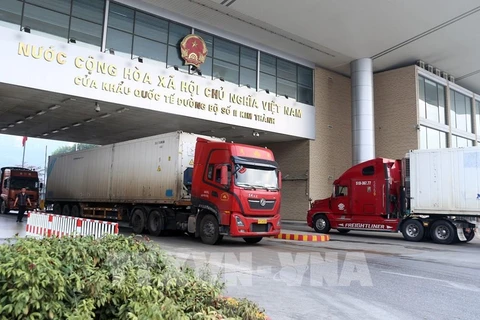 Más de 255 toneladas de durián exportadas a través de las puertas fronterizas de Lao Cai