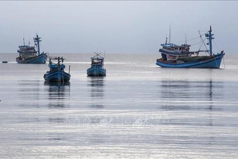 Guardia costera vietnamita fomenta lucha contra explotación ilegal de productos del mar