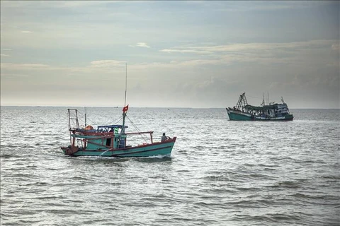 Mejoran conciencia de pescadores vietnamitas sobre la IUU