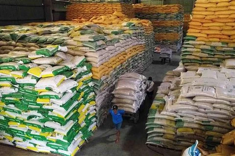 Vietnam exporta 8,3 millones de toneladas de arroz en 2023