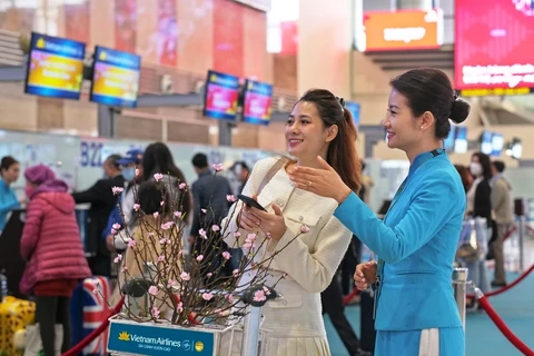 Vietnam Airlines transporta flores de albaricoque y melocotón en ocasión del Tet